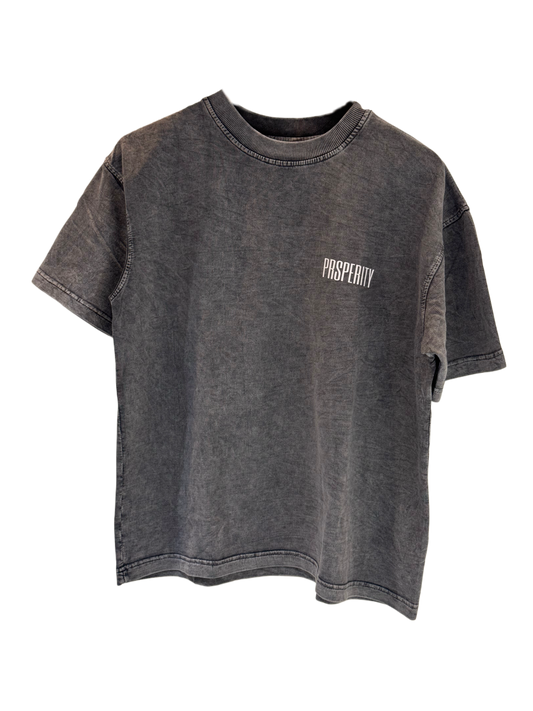 Prsperity Basics (Grey)